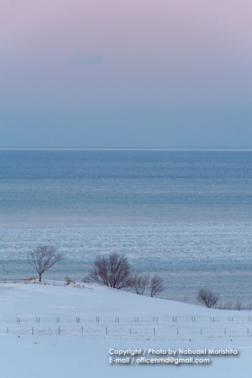 w-9222_20140130083558d4a.jpg