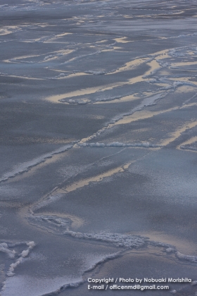 w01-8878.jpg