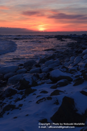 w01-8934_20140123125509ba4.jpg