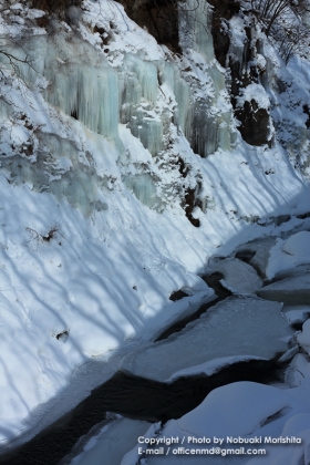 w01-9050.jpg