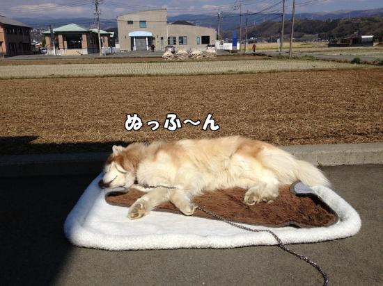 逕サ蜒・001_convert_20130315163144
