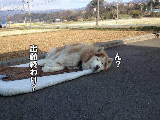 逕サ蜒・009_convert_20130315163208