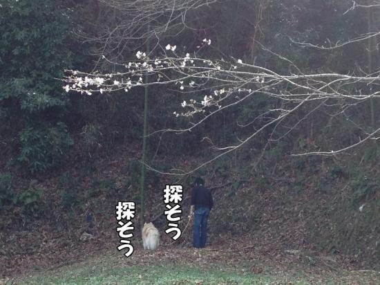 逕サ蜒・023_convert_20130321161310
