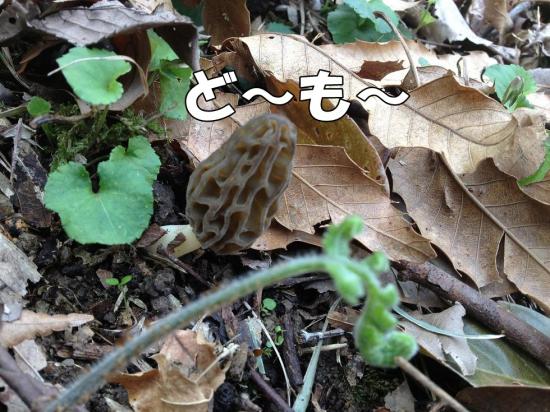 逕サ蜒・010_convert_20130321161222