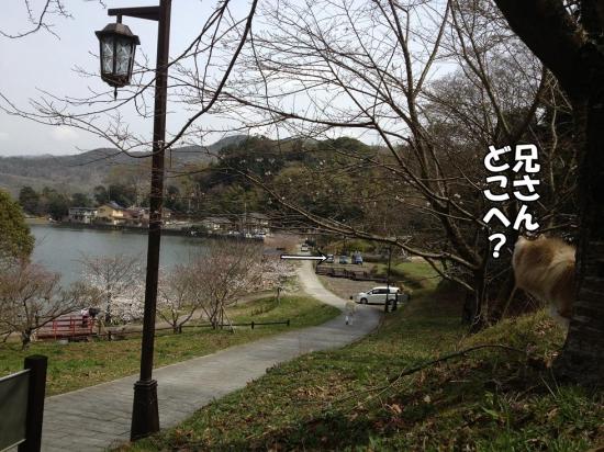 逕サ蜒・012_convert_20130321161233