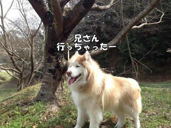 逕サ蜒・018_convert_20130321161246
