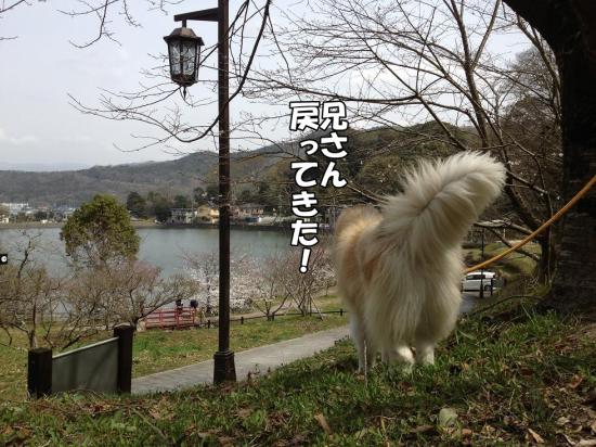 逕サ蜒・020_convert_20130321161259