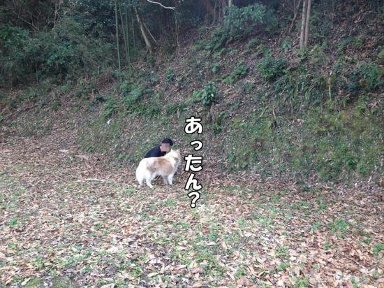 逕サ蜒・024_convert_20130321161322