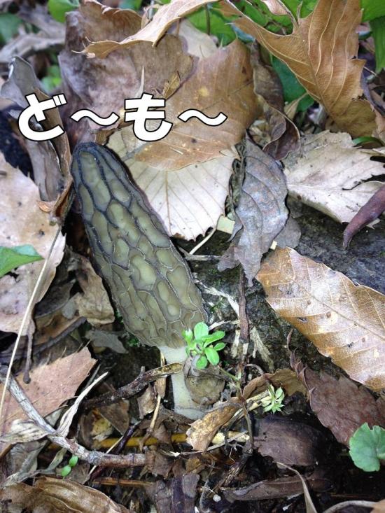逕サ蜒・026_convert_20130321161346