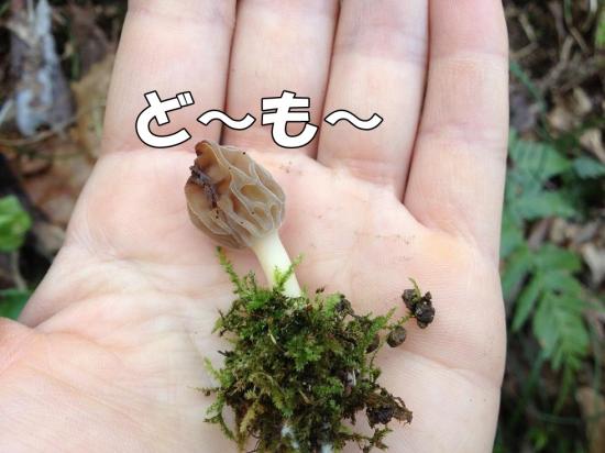逕サ蜒・030_convert_20130321161357