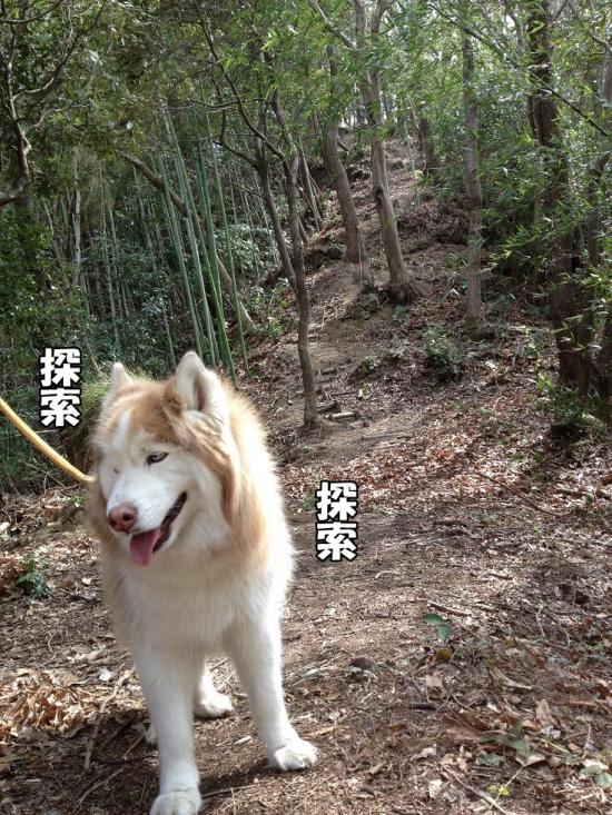 逕サ蜒・044_convert_20130321161426