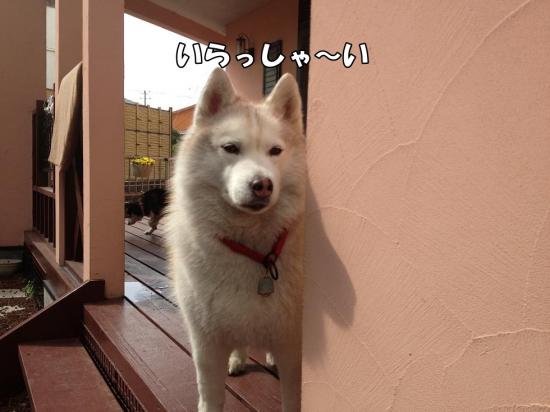 逕サ蜒・054_convert_20130321161522