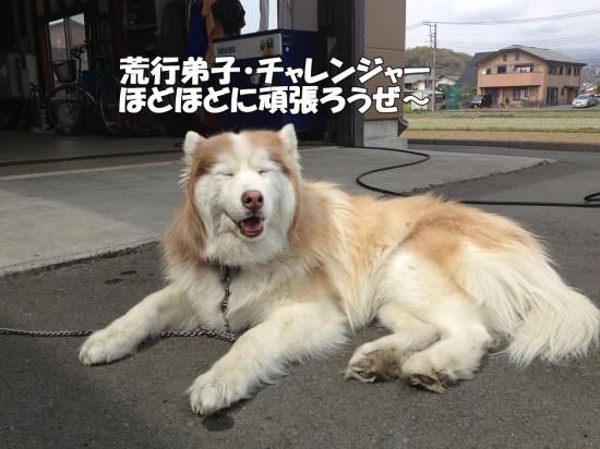 逕サ蜒・008_convert_20130329182159