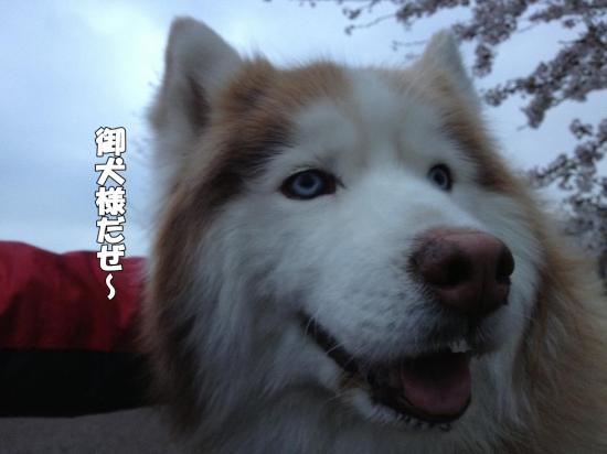 逕サ蜒・010_convert_20130330183538