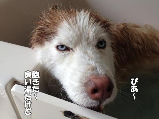 逕サ蜒・005_convert_20130330183528