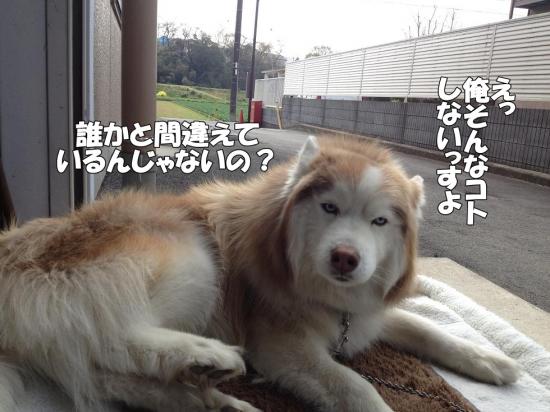 逕サ蜒・110_convert_20130401142707