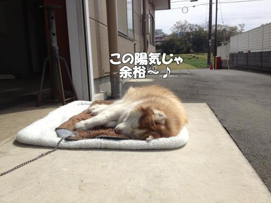 逕サ蜒・112_convert_20130401142732