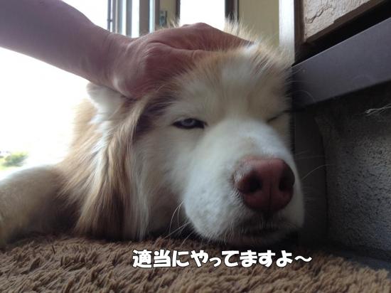 逕サ蜒・011_convert_20130404180016