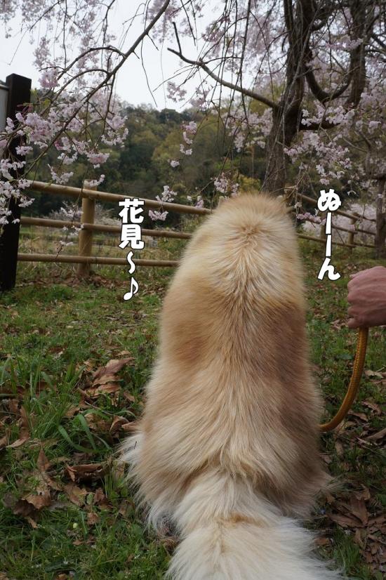 逕サ蜒・001_convert_20130404175925