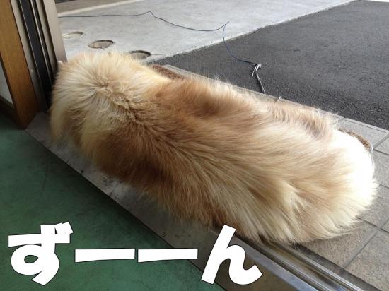 逕サ蜒・010_convert_20130404180006