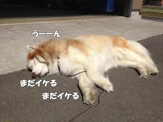逕サ蜒・012_convert_20130405182445