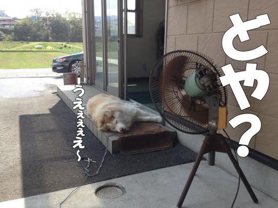 逕サ蜒・008_convert_20130405182347