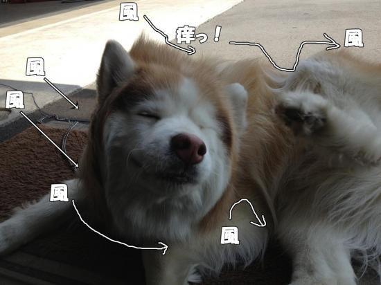 逕サ蜒・009_convert_20130405182359