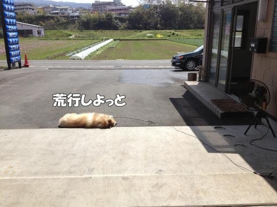 逕サ蜒・011_convert_20130405182948