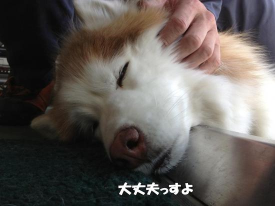 逕サ蜒・020_convert_20130409180835
