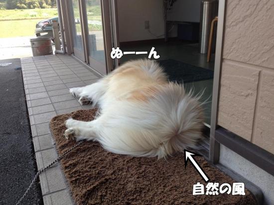逕サ蜒・018_convert_20130409180825