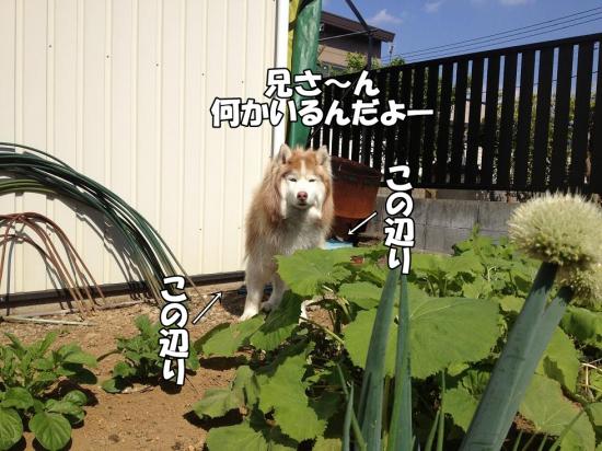 逕サ蜒・004_convert_20130412180342