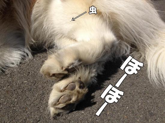 逕サ蜒・002_convert_20130412180322