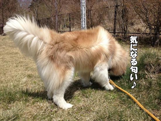 逕サ蜒・008_convert_20130415160449