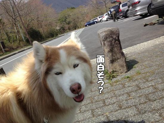 逕サ蜒・003_convert_20130415160402