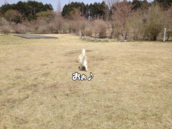逕サ蜒・004_convert_20130415160412