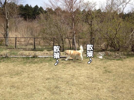 逕サ蜒・006_convert_20130415160438