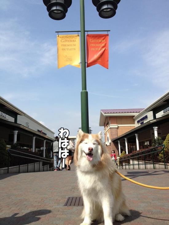 逕サ蜒・017_convert_20130415160541