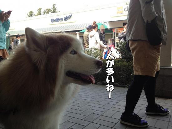 逕サ蜒・014_convert_20130415160531