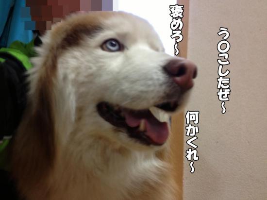 逕サ蜒・007_convert_20130419181321