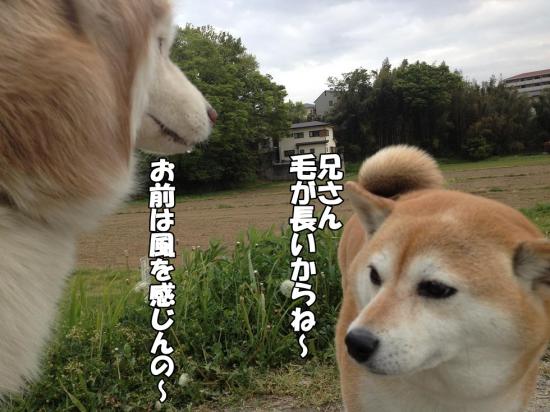 逕サ蜒・003_convert_20130419181302
