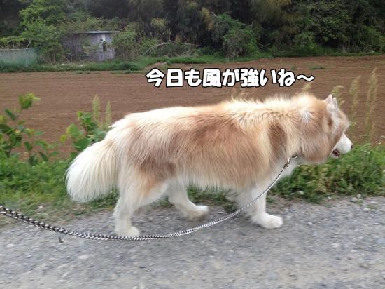 逕サ蜒・001_convert_20130419181241