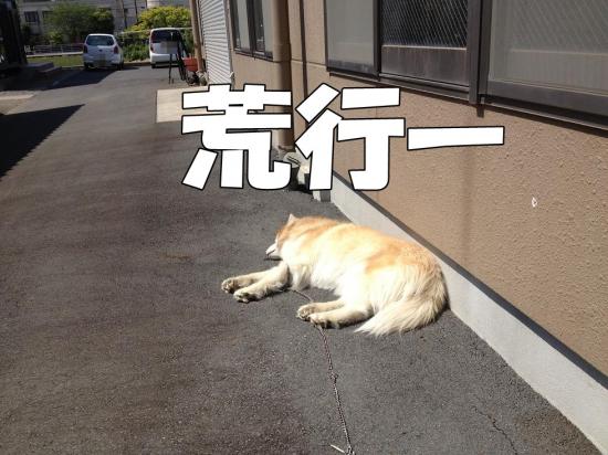 逕サ蜒・001_convert_20130422180744