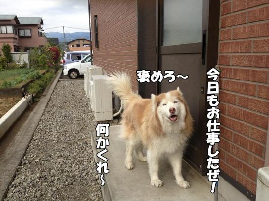 逕サ蜒・006_convert_20130423190216