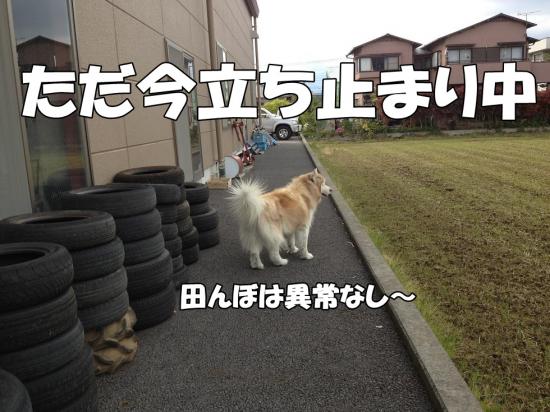 逕サ蜒・002_convert_20130423190131