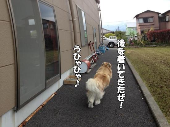 逕サ蜒・003_convert_20130423190142