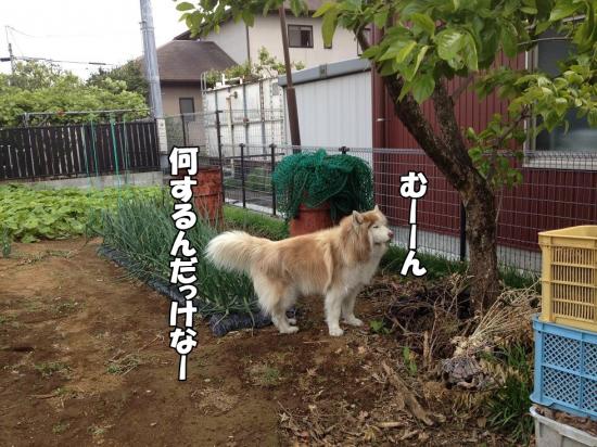 逕サ蜒・004_convert_20130423190153