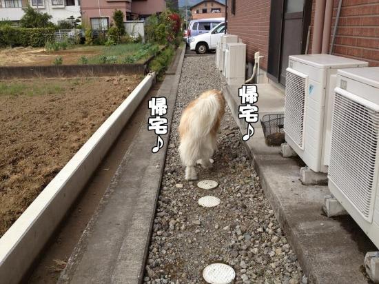 逕サ蜒・005_convert_20130423190204