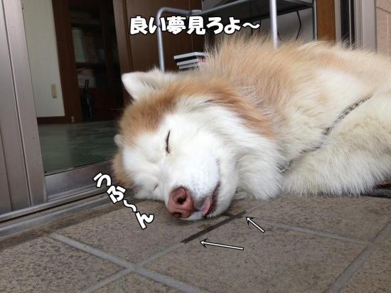 逕サ蜒・008_convert_20130425184118