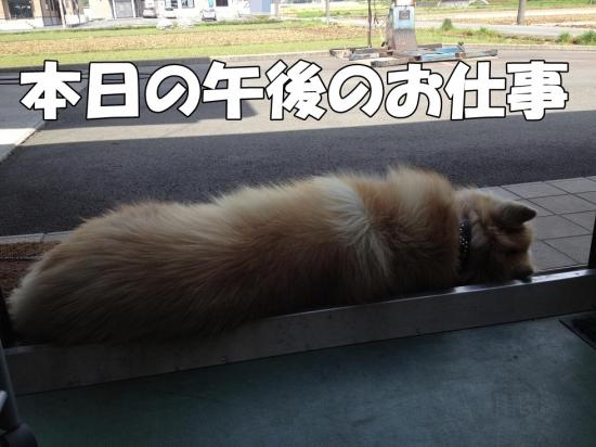 逕サ蜒・004_convert_20130425184039