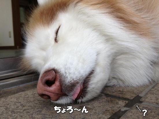 逕サ蜒・006_convert_20130425184058